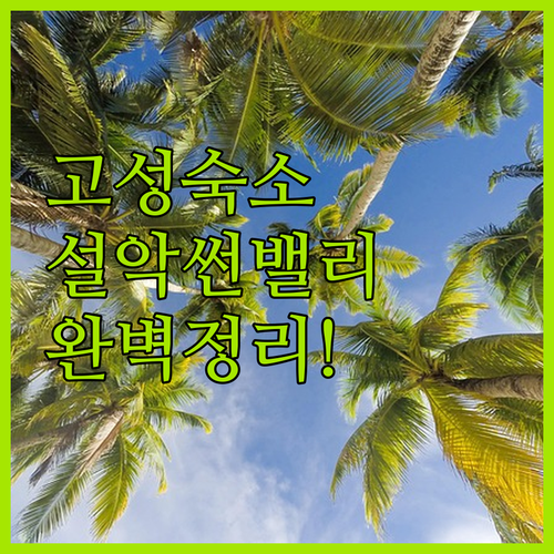 강원도 고성 숙소 추천 설악 썬밸리 ..