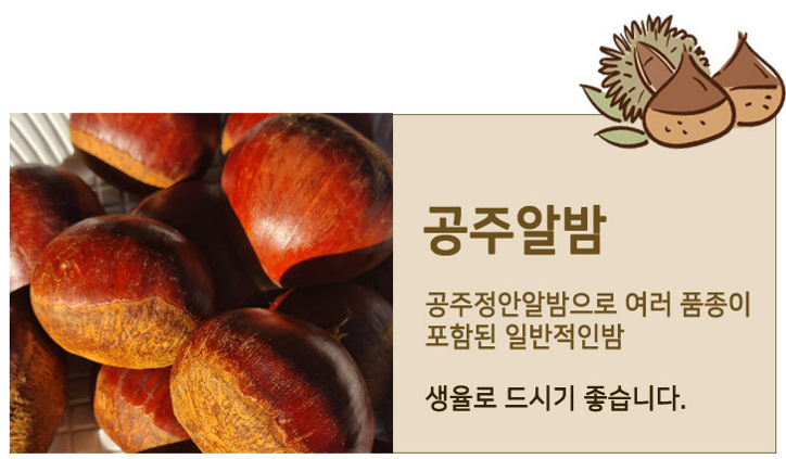 공주 알밤