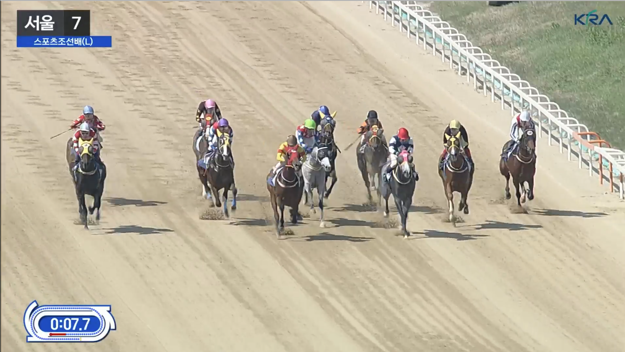 나이스태양 스포츠조선배