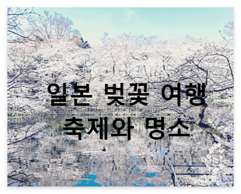 일본 벚꽃 여행