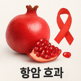 석류 효능