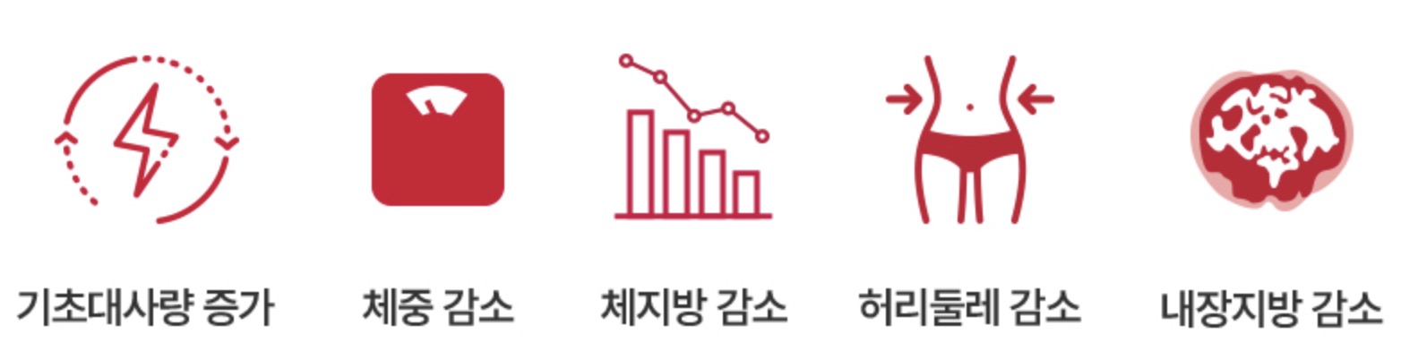 버닝올로지-효과-효능