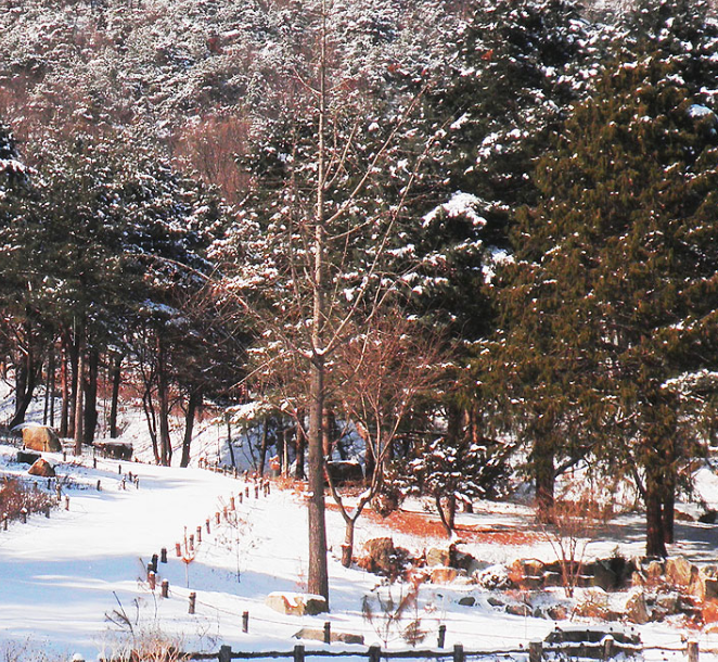 생생정보 택시맛객 남양주 여행 정보 수목원 썰매장 닭볶음탕 능내역