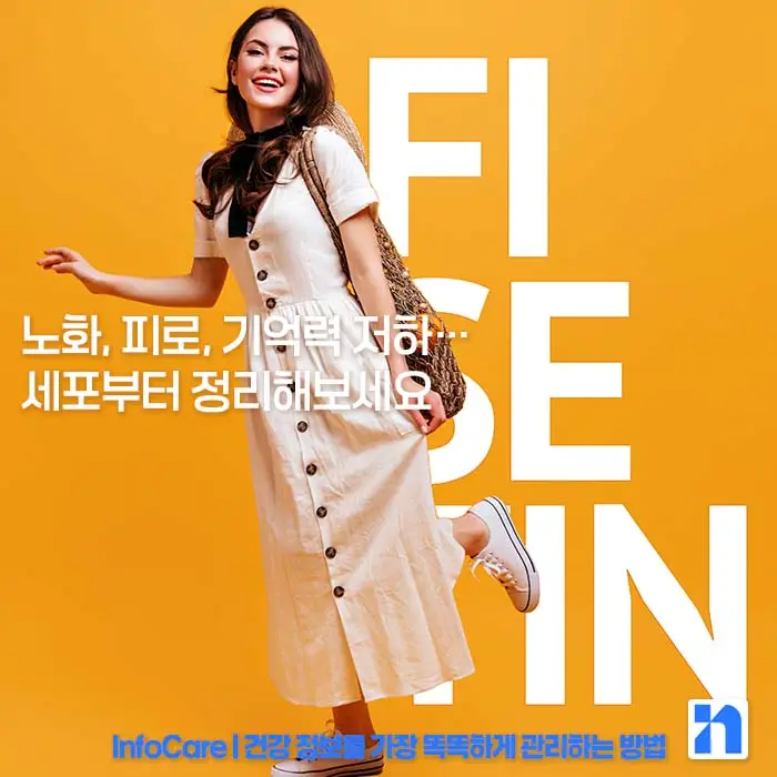 피세틴 효능 항산화 저속노화 노화방지 세놀리틱