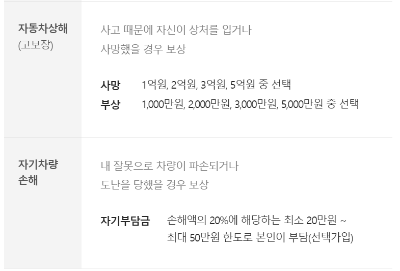 캐롯 자동차보험 보장내용