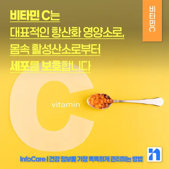 비타민 C 효능