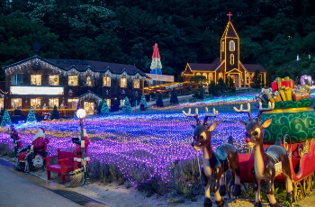 허브아일랜드 라벤더 축제 산타존_2
