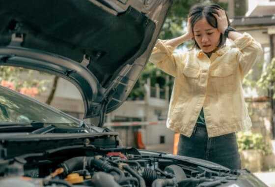 자동차 보험료 비교