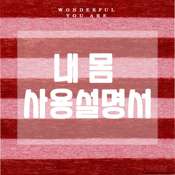 내 몸 사용 설명서 핵심 가이드: 사춘기부터 성인까지