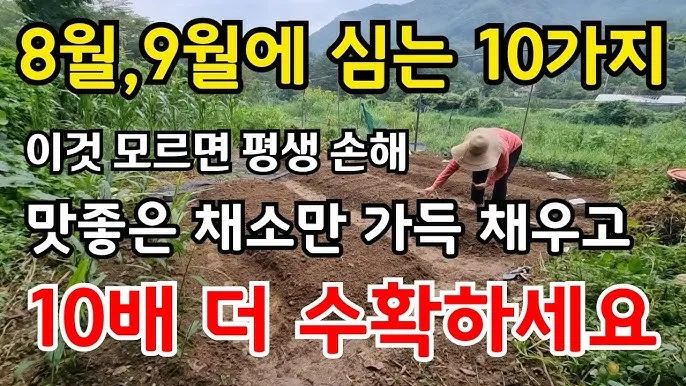 &amp;quot;8월에