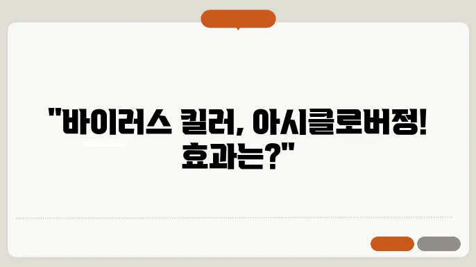 아시클로버정