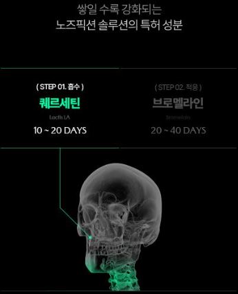 노즈픽션 특징