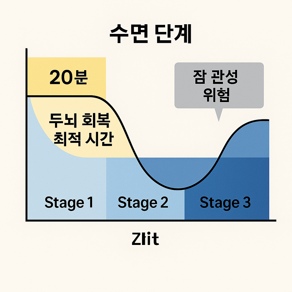 🌙 “낮잠 20분이 최적이라는 과학적 근거 + 실제 적용법”