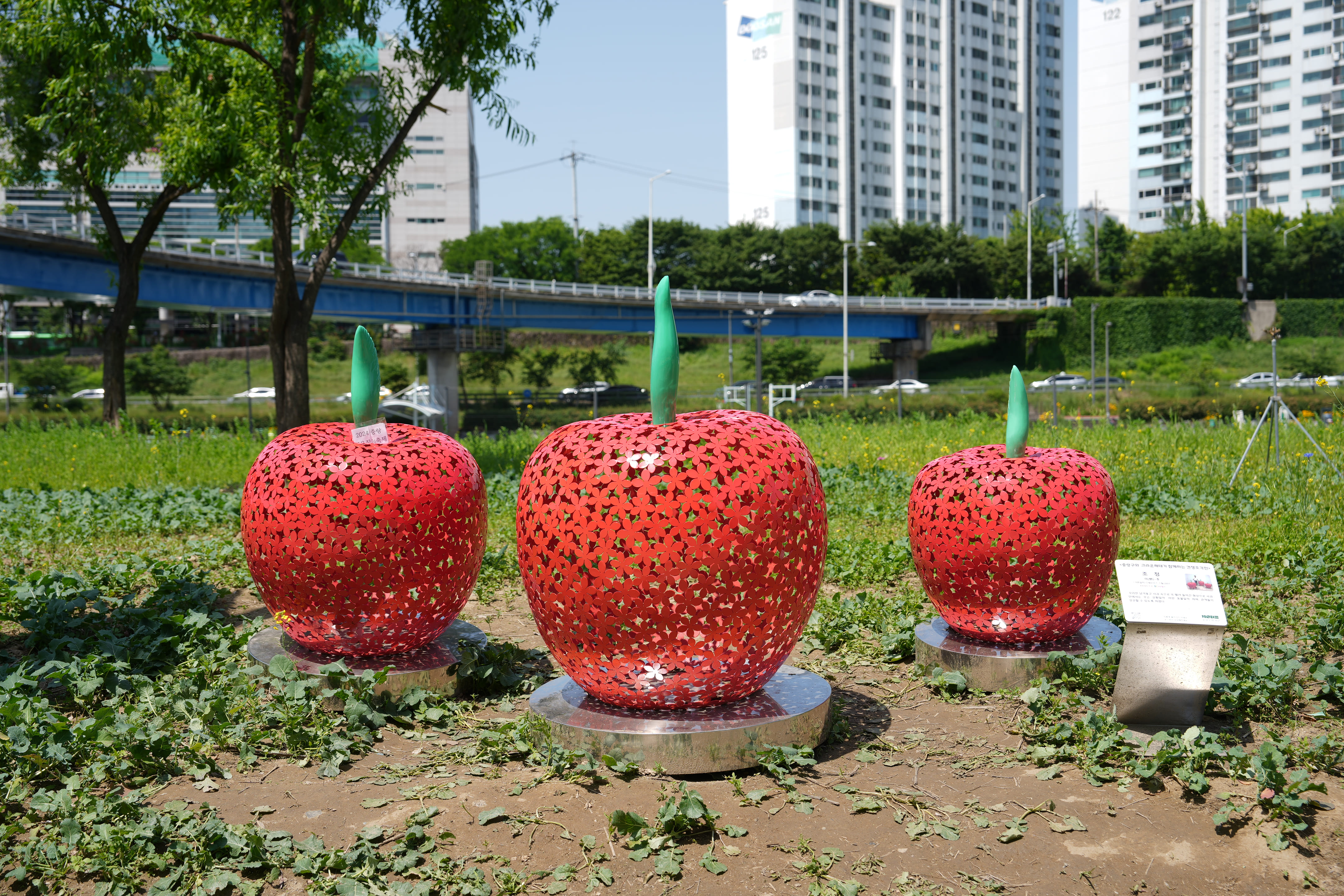 [5월 축제]2025 중랑 서울장미축제❘기간, 일정 및 프로그램, 공연 상세 시간표 정리