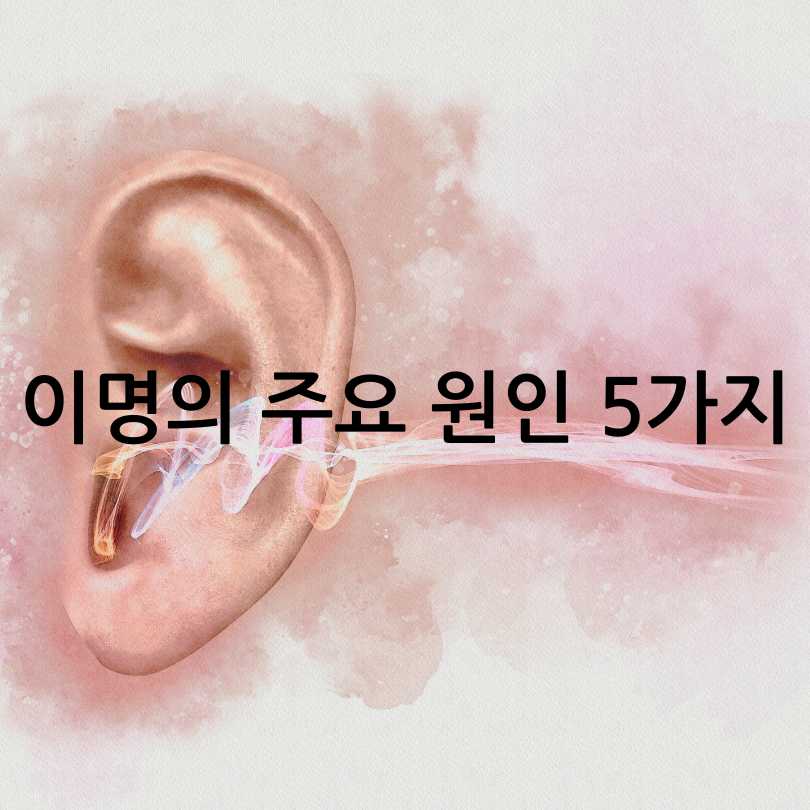 이명 원인,증상,치료방법, 해결책