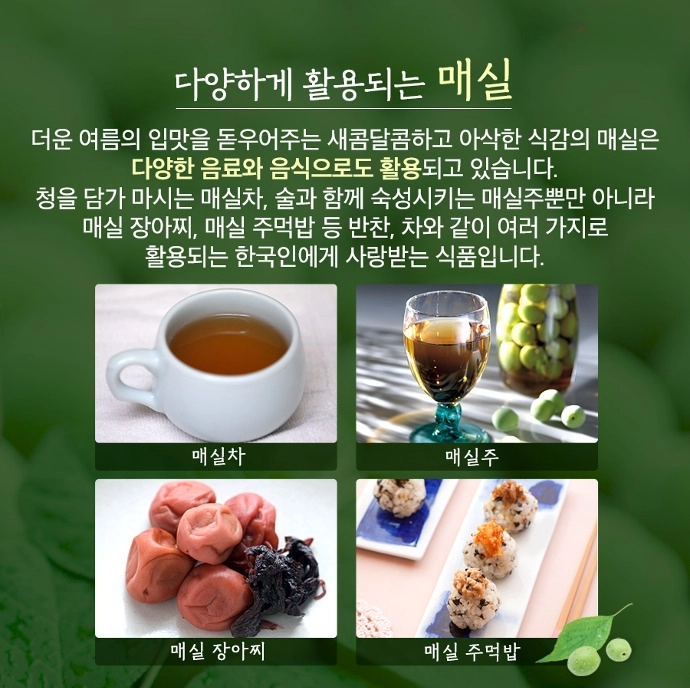 매실 흑매실 효능 매실짱아찌 매실청 만드는법