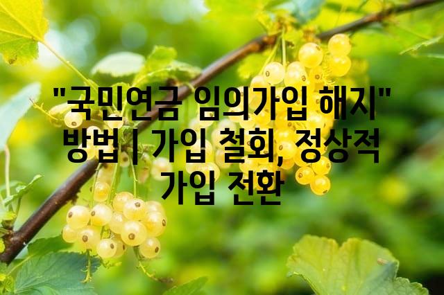 랜덤066