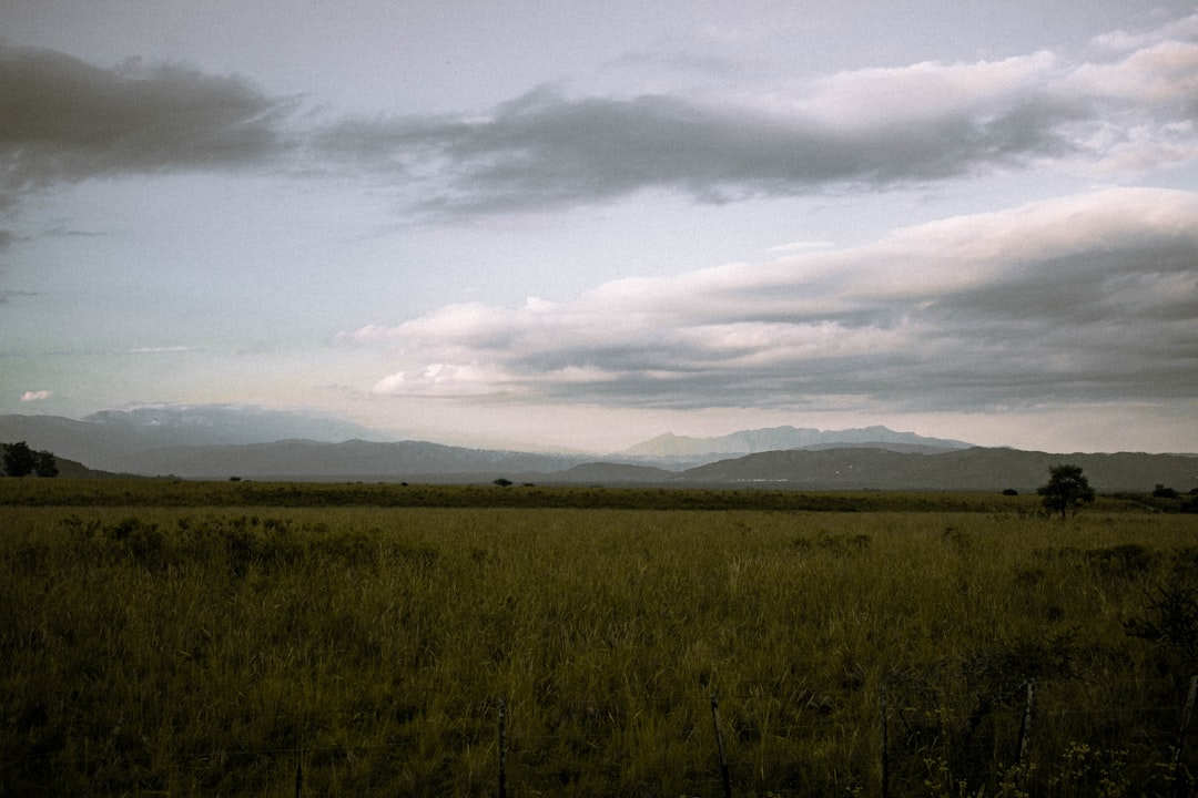 Land.