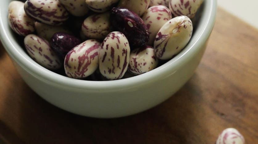 호랑이콩 효능의 호랑이콩3