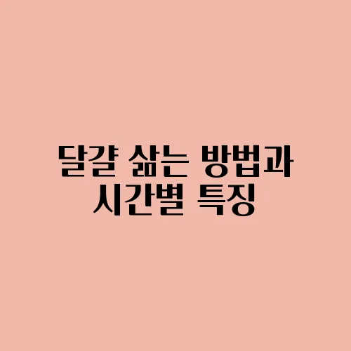 달걀 삶는 방법과 시간별 특징