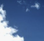 ENTP 유형 특징 분석