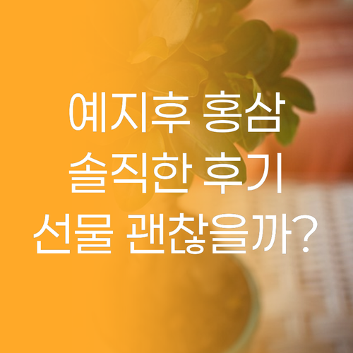 예지후 홍삼 화장품 솔직 후기 어버이..
