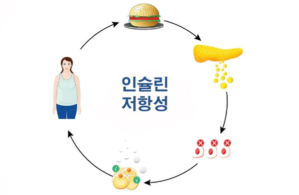 당뇨 전 단계 홍삼 섭취가 혈당 조절에 효과적이랍니다.
