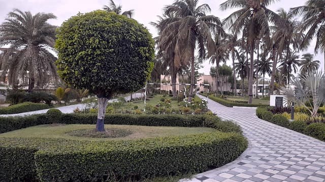 조경학 기반 트레일 디자인과 보행자 경험 설계