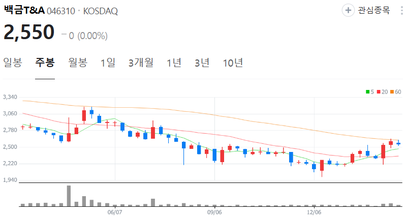 백금T&amp;A-주가-주봉