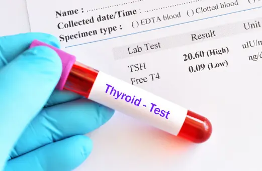 카무트 효능 및 부작용, 먹는 방법