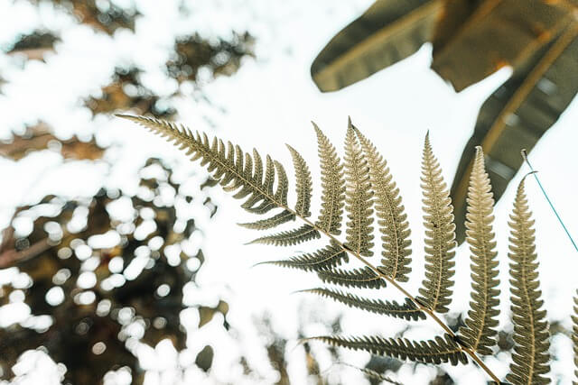 2025 블랙프라이데이 일정