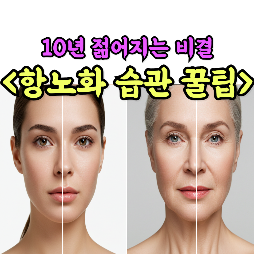 항노화습관방법
