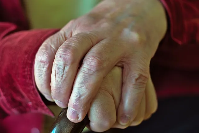 노령묘 질병 습식 사료_4