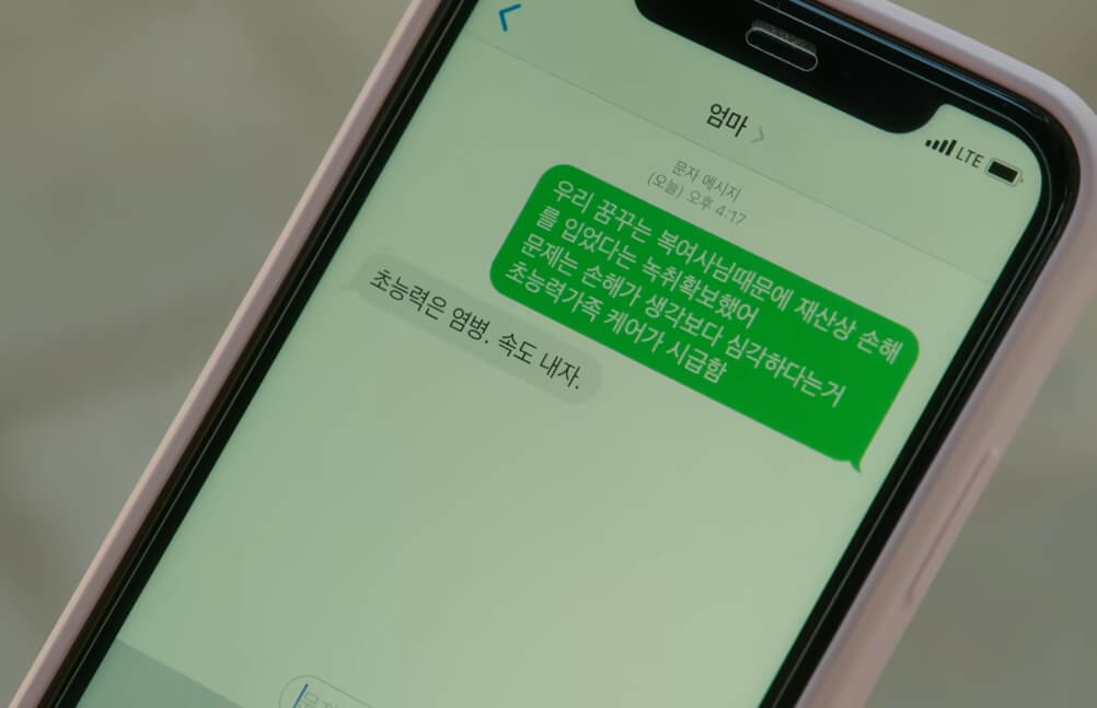 다해와 다해의 엄마와의 문자