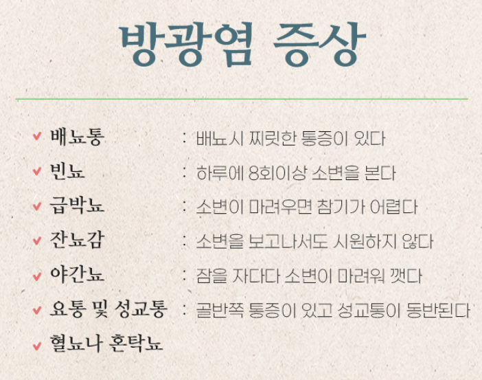 방광염증상