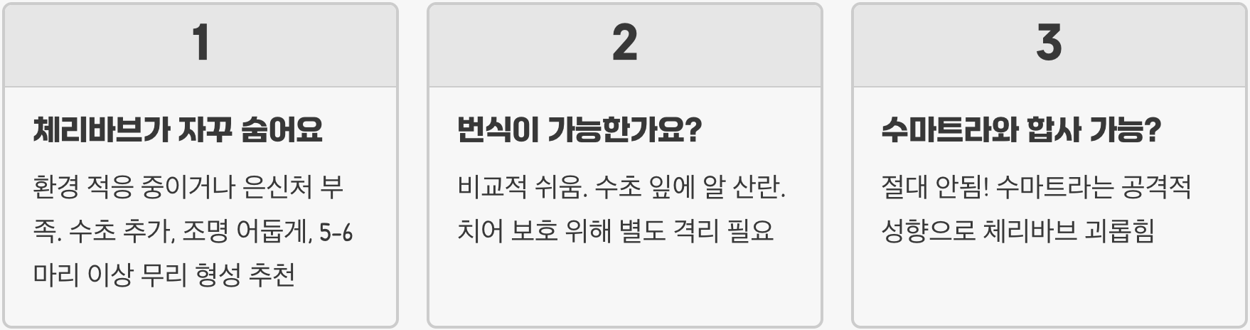 체리바브 키우기 A to Z (어항, 먹이, 수질 관리)