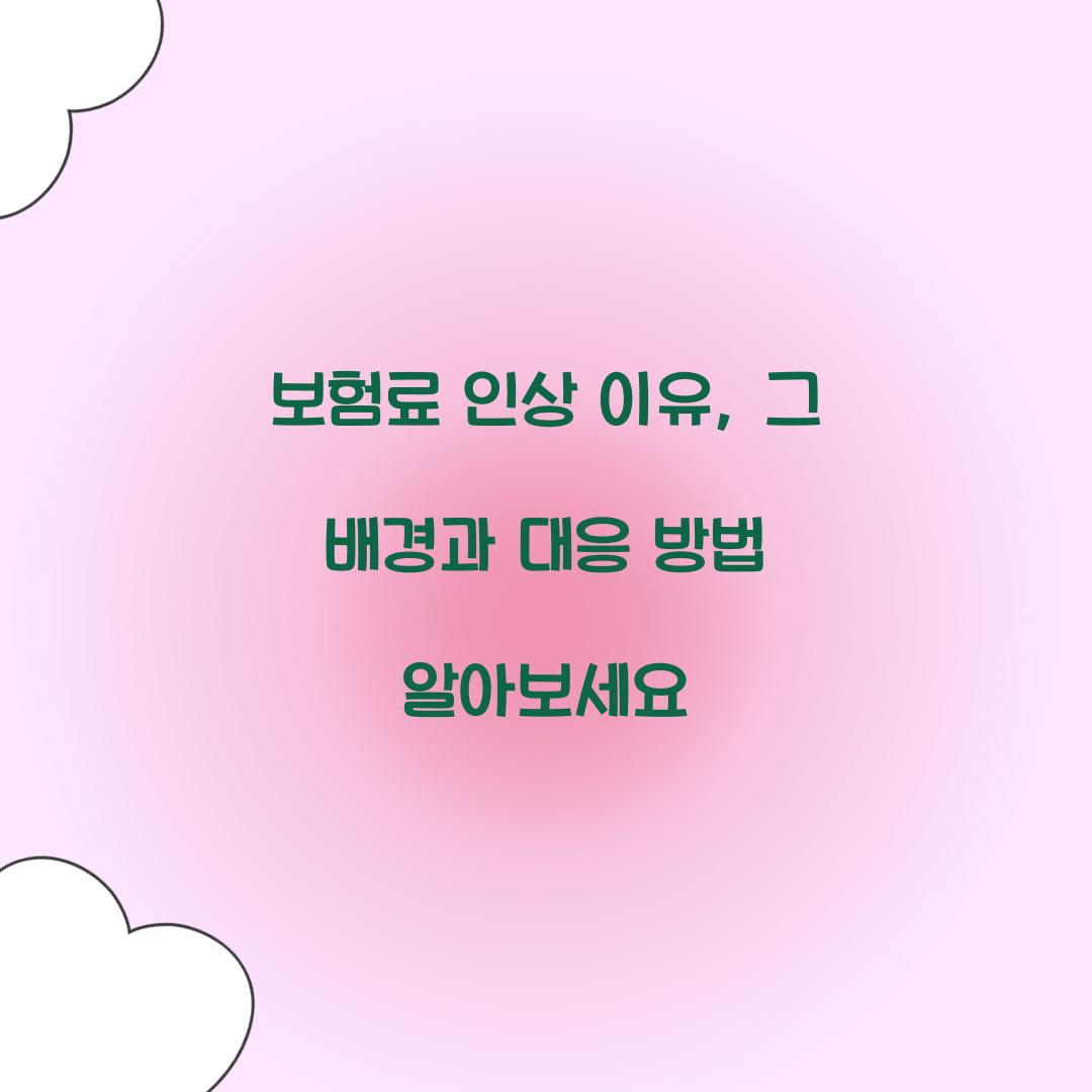 보험료 인상 이유