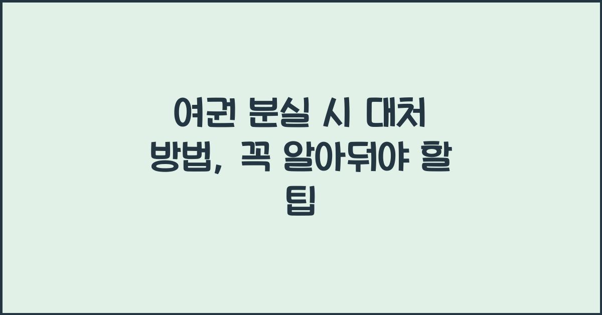 여권 분실 시 대처 방법
