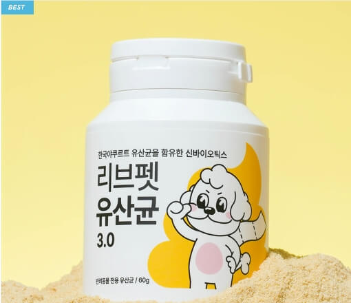 강아지 유산균
