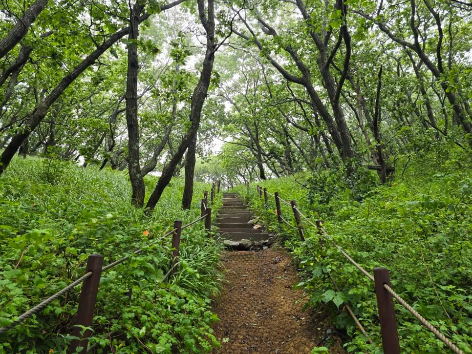 곰배령 트레킹 코스 사진