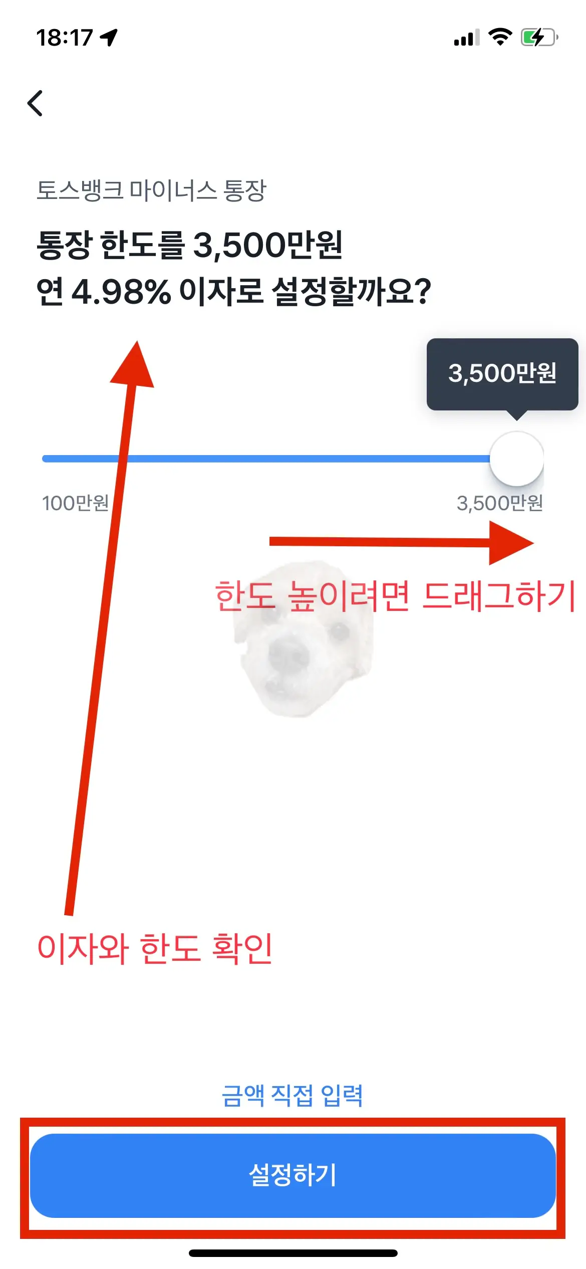 약관 동의 및 한도 설정