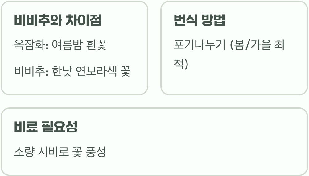 달밤의 향기, 옥잠화 키우기 A to Z