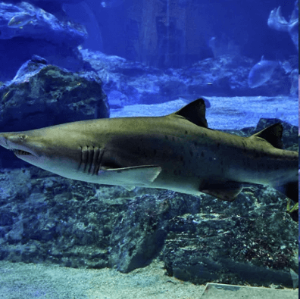 부산_가볼만한곳