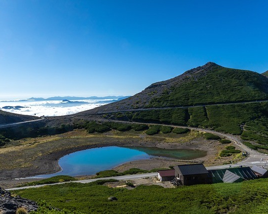 비짓재팬웹 서비스 이용가이드