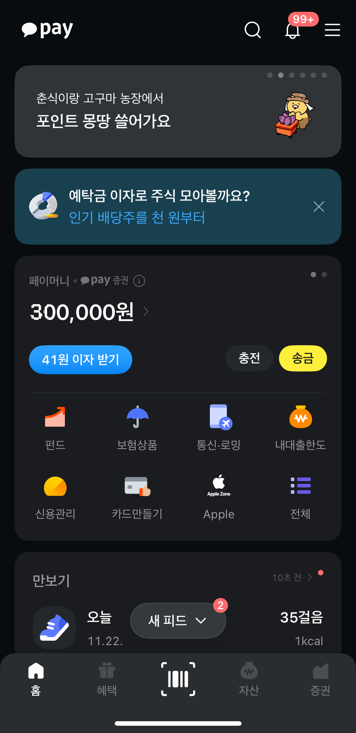 카카오페이