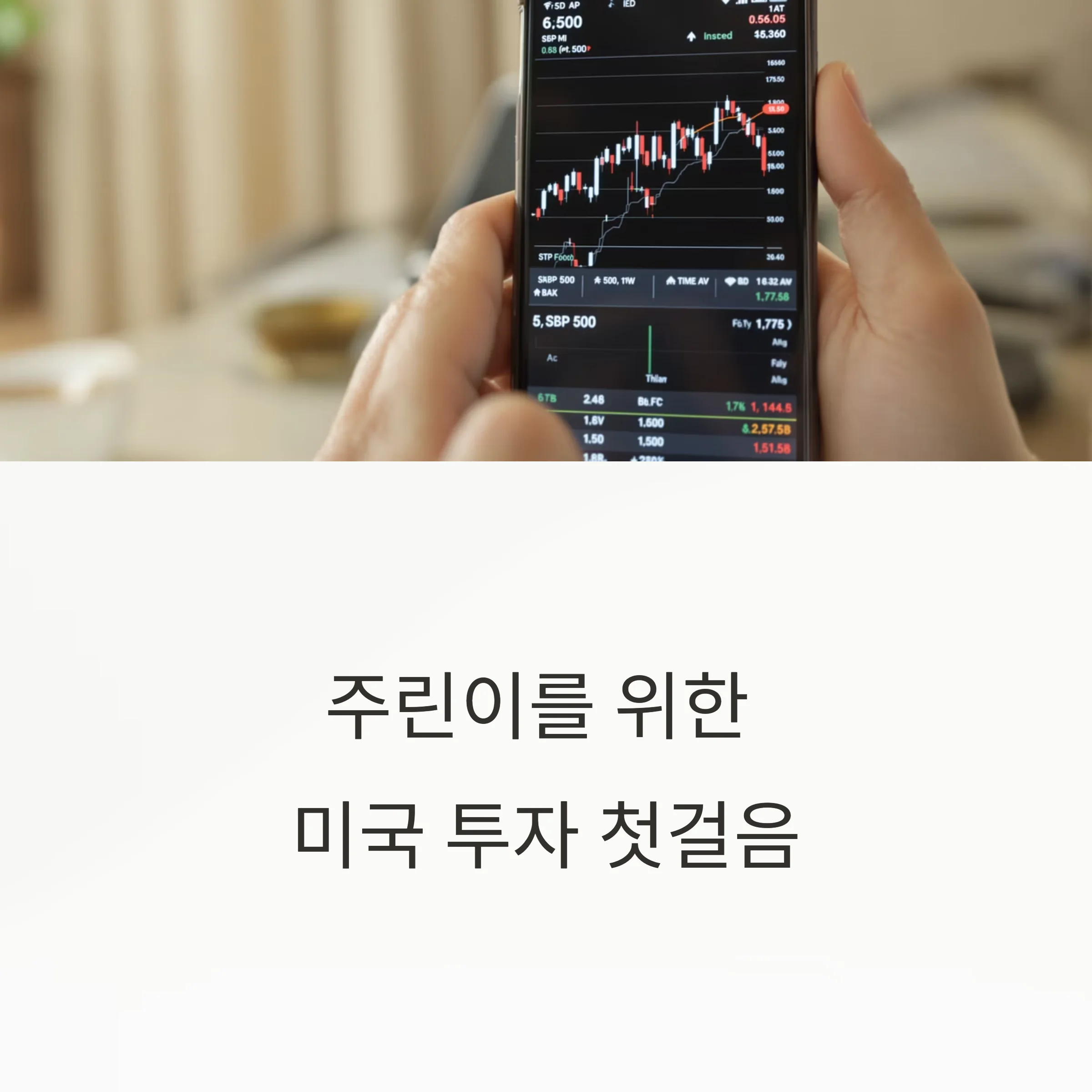 주린이를 위한 TIGER 미국S&P500 ETF