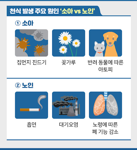 호흡기 질환: 천식 - 주요증상, 종류, 자가진단 방법, 치료법.