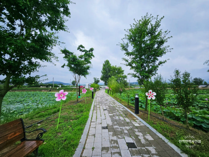 경산 가볼만한곳 베스트10