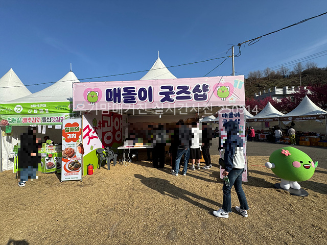 2025 광양매화축제 일정 실시간 개화 주차장