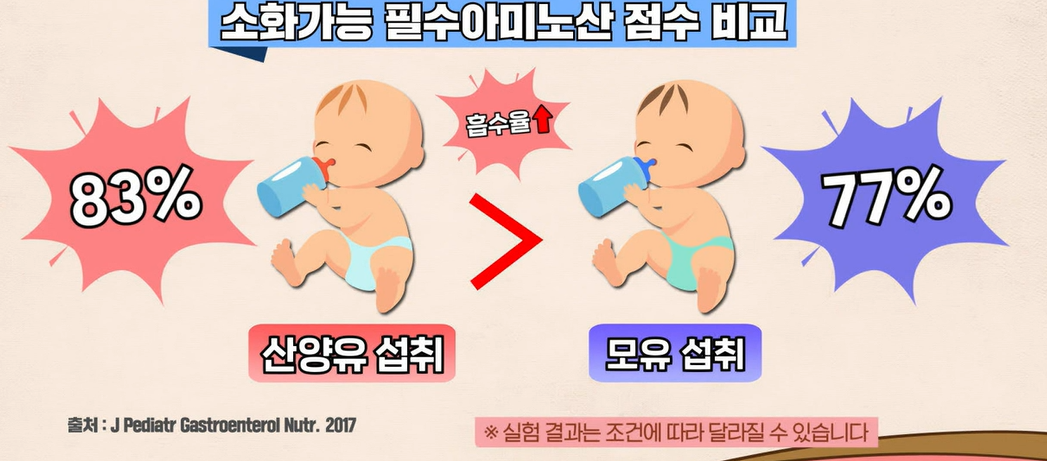 산양유 단백질 효능